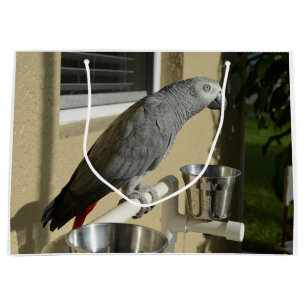 Grand Sac Cadeau Congo : Le perroquet gris africain sur pied