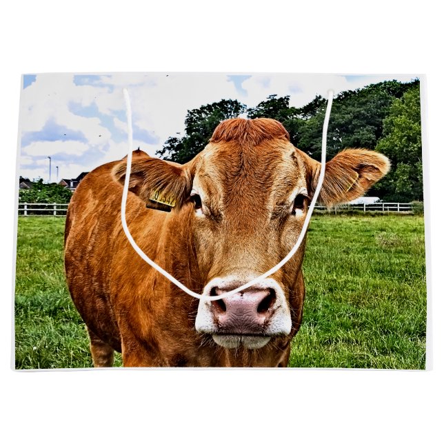Grand Sac Cadeau COW Cute (Devant)