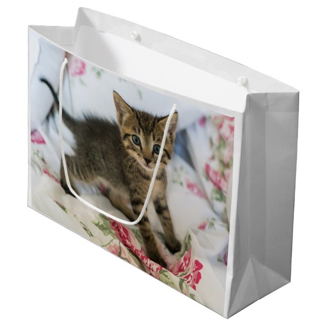 Grand Sac Cadeau Cute Tabby Kitten À L'Air Surpris (Devant Angle)