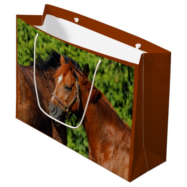 Grand Sac Cadeau Deux beaux chevaux de châtaignes au soleil (Devant Angle)