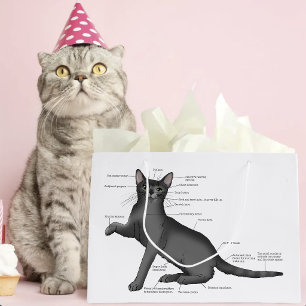 Grand Sac Cadeau Diagramme d'anatomie de chat drôle humour nerd