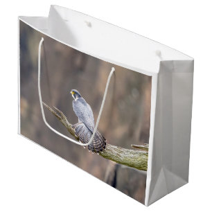 Grand Sac Cadeau Faucon pèlerin au parc inter-États des Palisades