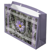 Fleur bleue d'aster
