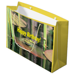 Grand Sac Cadeau Grenouille d'anniversaire