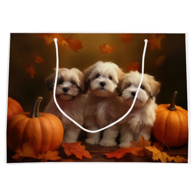 Grand Sac Cadeau Havanais chiot automne ravi Citrouille (Devant)