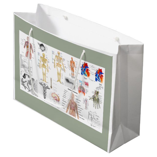 Grand Sac Cadeau Human Anatomy Charts (Devant Angle)