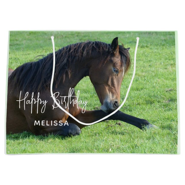 Grand Sac Cadeau Joli Cheval Brown allongé dans l'herbe Anniversair (Devant)