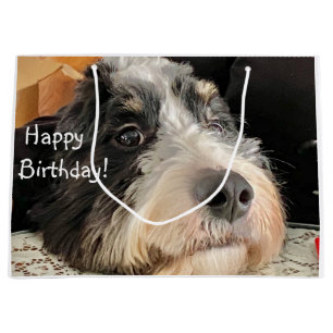 Grand Sac Cadeau Joyeux anniversaire Cute Bernedoodle