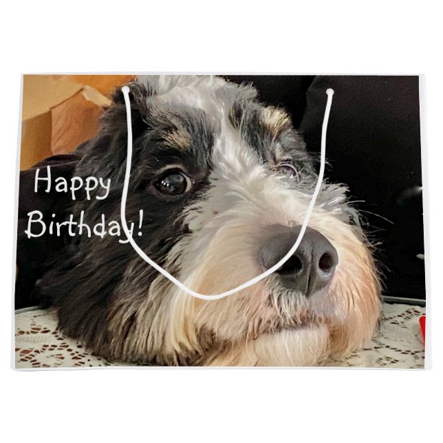 Grand Sac Cadeau Joyeux anniversaire Cute Bernedoodle (Devant)