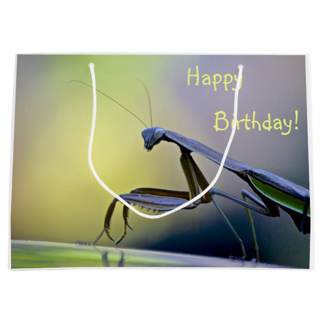 Grand Sac Cadeau Joyeux Anniversaire priant Mantis (Devant)