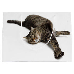 Grand Sac Cadeau Lazy Cat Stretting