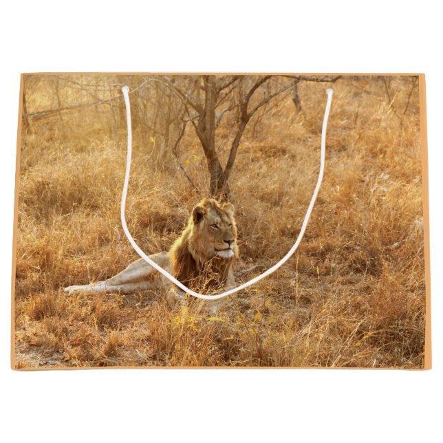 Grand Sac Cadeau Lion (Devant)