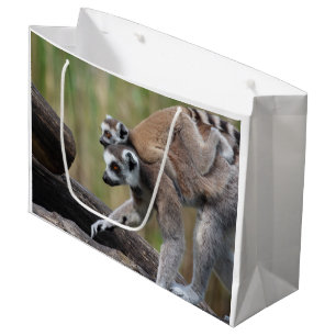 Grand Sac Cadeau Mère Et Bébé De Lémuriens À La Ceinture