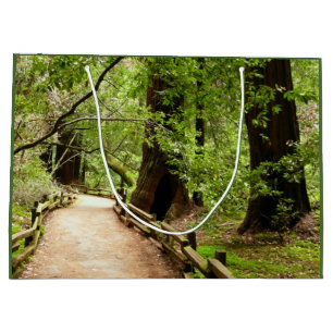 Grand Sac Cadeau Muir Woods Path II Nature Photography