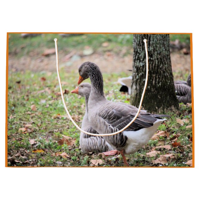 Grand Sac Cadeau Oie (Devant)