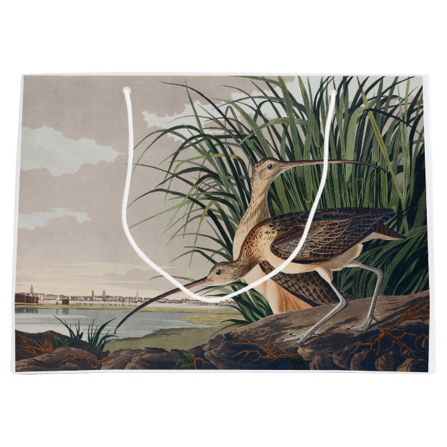 Grand Sac Cadeau Oiseau de Courlis à long bec Audubon (Devant)