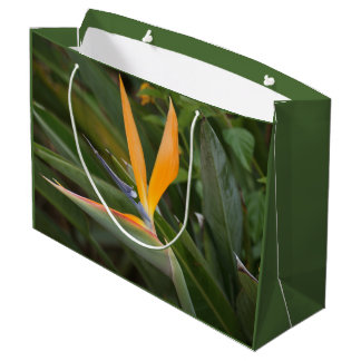 Grand Sac Cadeau Oiseau du paradis