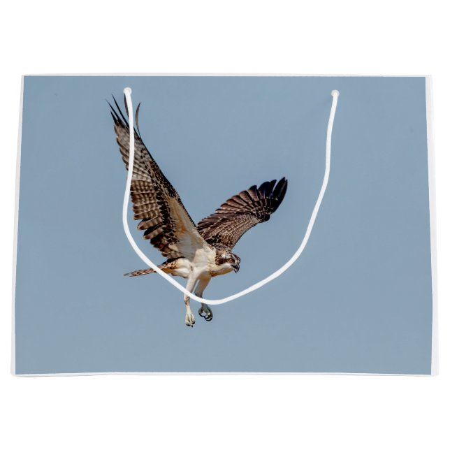 Grand Sac Cadeau Osprey juvénile en vol (Devant)