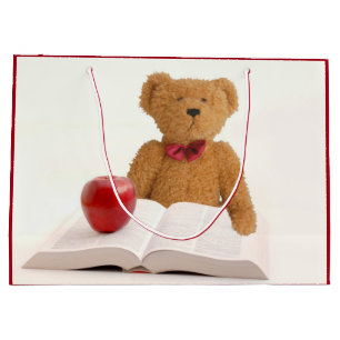Grand Sac Cadeau Ours de nounours instruit