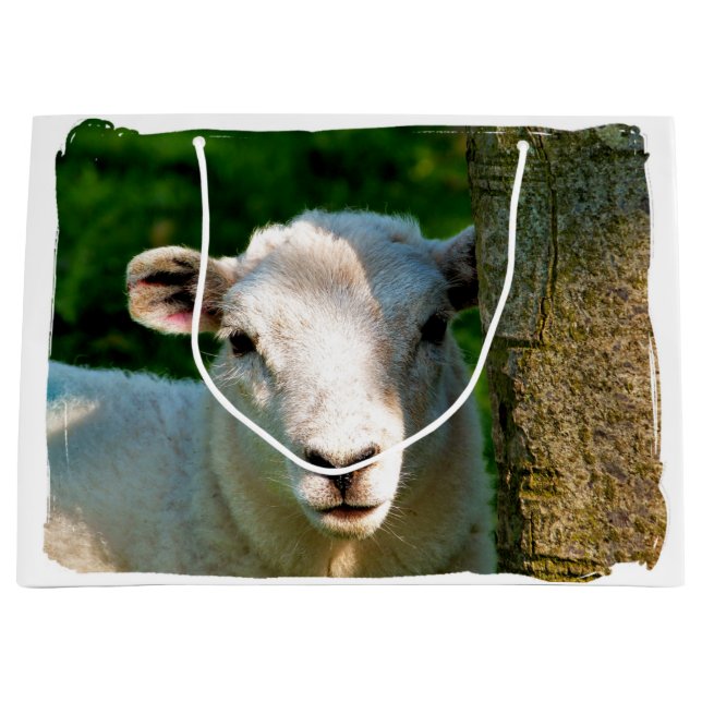 GRAND SAC CADEAU PETIT MOQUETTE (Devant)