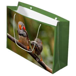 Grand Sac Cadeau Pinsons zèbres effrontés oiseaux chanteurs sur une