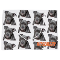 Pitbull noir Editable