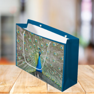 Grand Sac Cadeau Plumage bleu Peacock