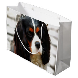 Grand Sac Cadeau Portrait d'Espagne
