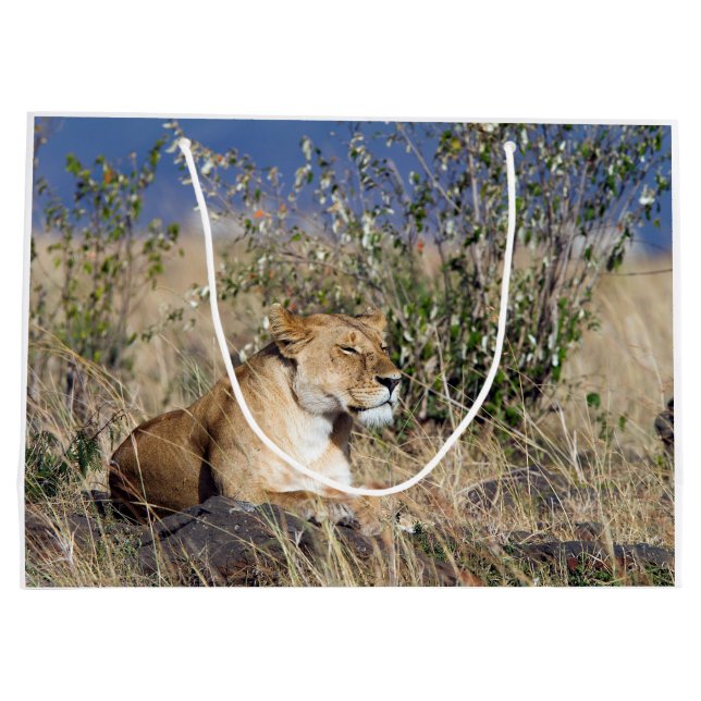 Grand Sac Cadeau Repos de lionne (Dos)