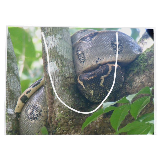 Grand Sac Cadeau Sac-cadeau Boa Constricto (Dos)