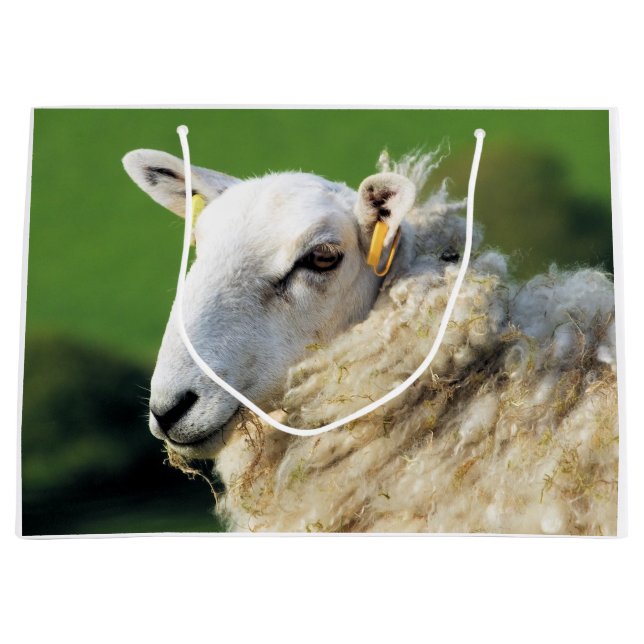 GRAND SAC CADEAU SHEEP (Devant)