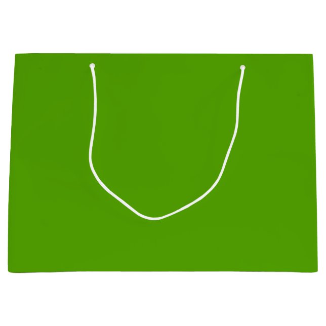 Grand Sac Cadeau Solide Jolly Green (Devant)