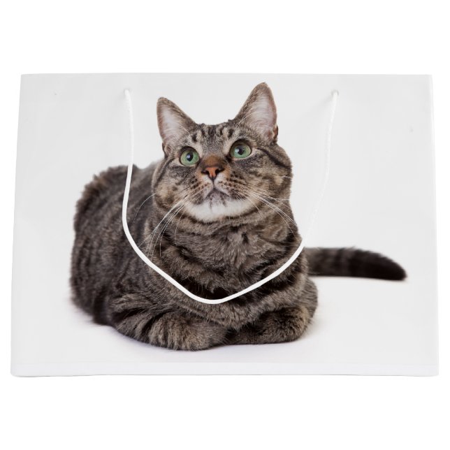 Grand Sac Cadeau Tabby Gris (Devant)