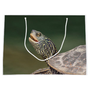 Grand Sac Cadeau Tortue sur La Chute