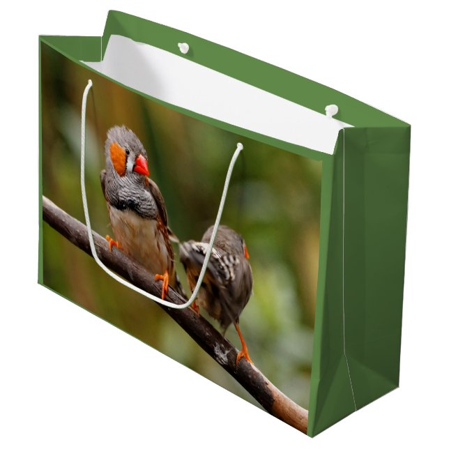 Grand Sac Cadeau Une paire de poches de Zebra Finches (Devant Angle)