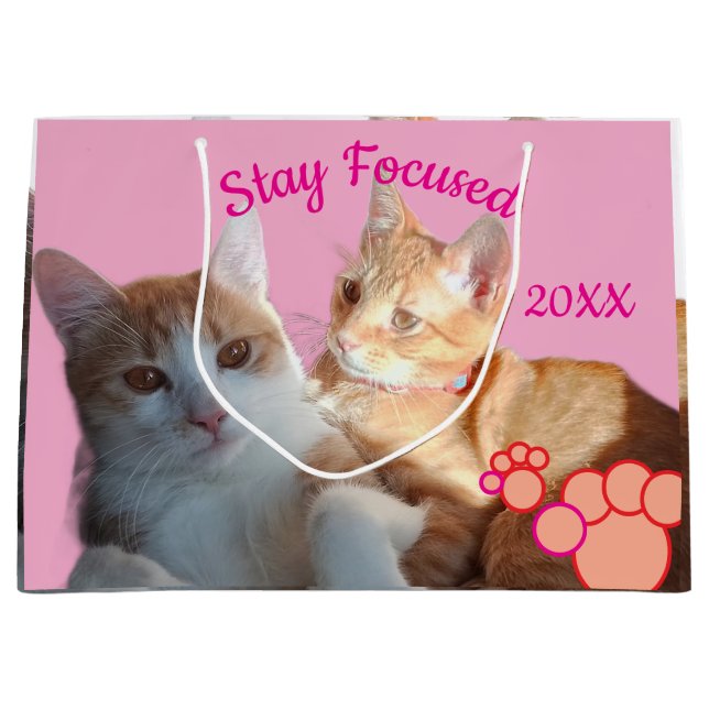 Grand Sac Cadeau Valentine's Cats Photo (Devant)