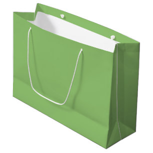 Grand Sac Cadeau Véritable Pistachio Vert
