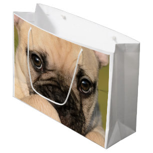Grand Sac Cadeau Yeux d'un chiot mignon de bouledogue français