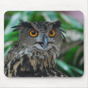 Grand tapis de souris de hibou