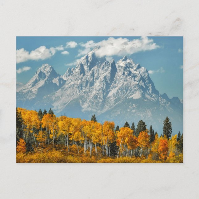 Grand Teton Berge im Herbst Postkarte (Vorderseite)