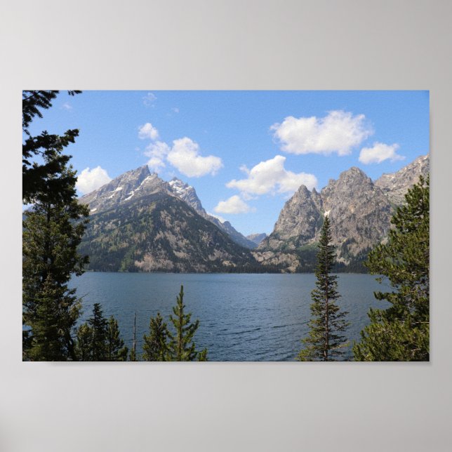 Grand Teton Mountains und Jenny Lake Poster (Vorne)