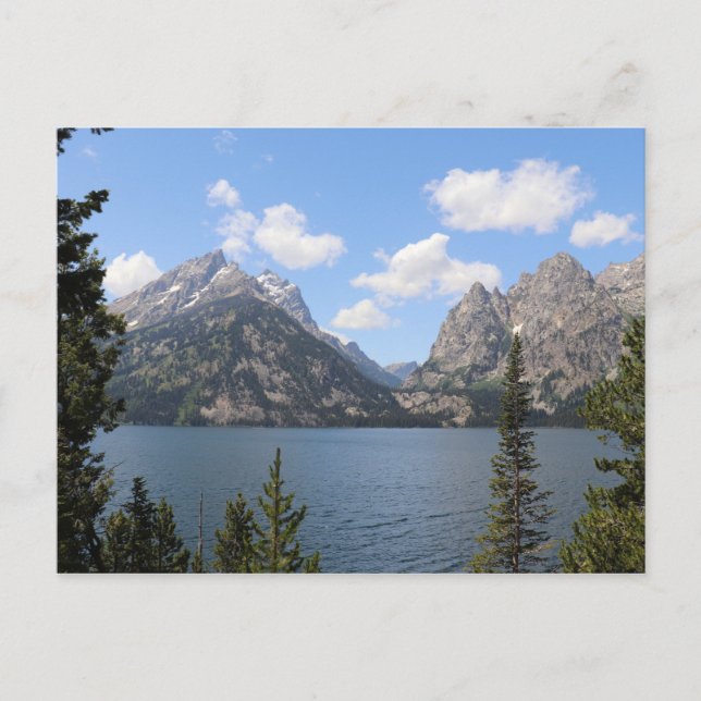 Grand Teton Mountains und Jenny Lake Postkarte (Vorderseite)