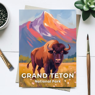 Grand Teton National Park   Bison Reise Kunst Postkarte