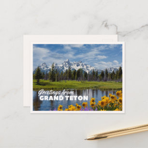 Grand Teton National Park Frühlingsblumen Spiegelu Postkarte