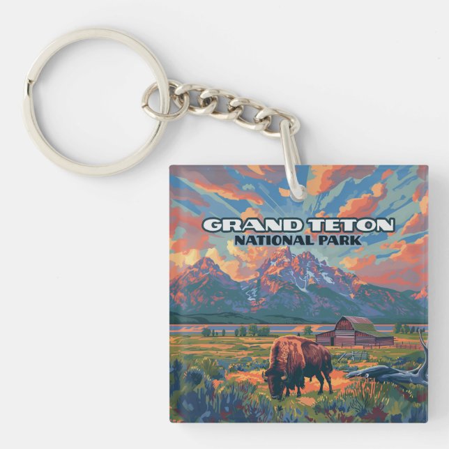 Grand Teton National Park Mountains Bison Wyoming (Devant)