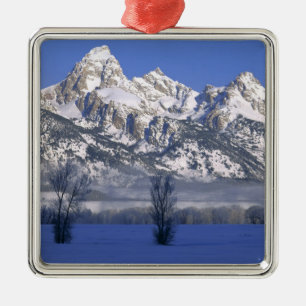 GRAND TETON NATIONAL PARK, WYOMING. USA. Nebel Ornament Aus Metall