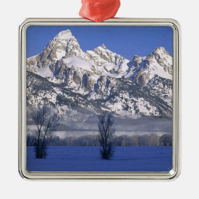 GRAND TETON NATIONAL PARK, WYOMING. USA. Nebel Ornament Aus Metall (Vorne)