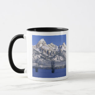 GRAND TETON NATIONAL PARK, WYOMING. USA. Nebel Tasse