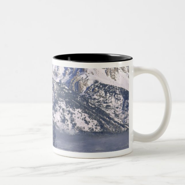 GRAND TETON NATIONAL PARK, WYOMING. USA. Nebel Zweifarbige Tasse (Rechts)