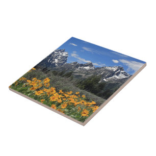 Grand Teton Nationalpark Fliese